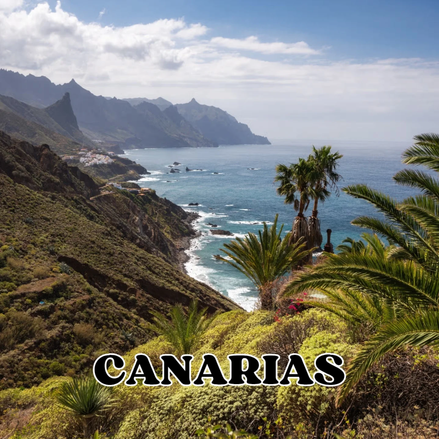 537558408_17894116083289297_4476753581024018424_n (1)