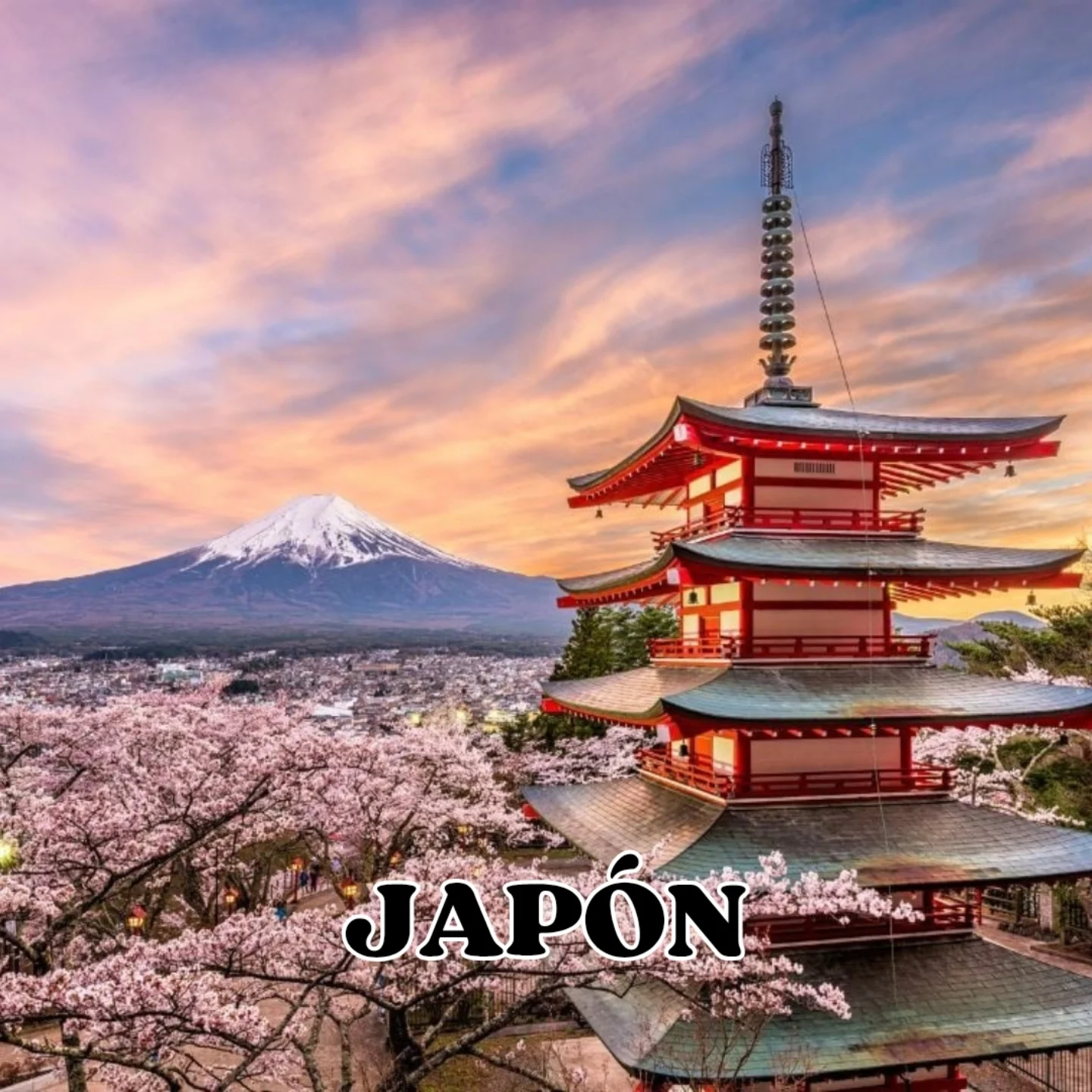 542861266_17895617076289297_6421212567443702615_n (1)